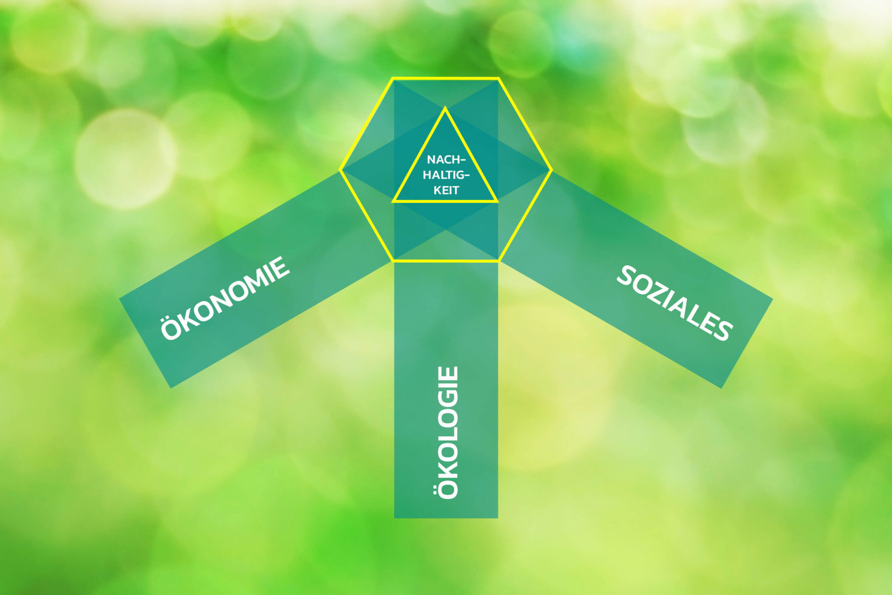 Grafik Triple Bottom Line Nachhaltigkeit