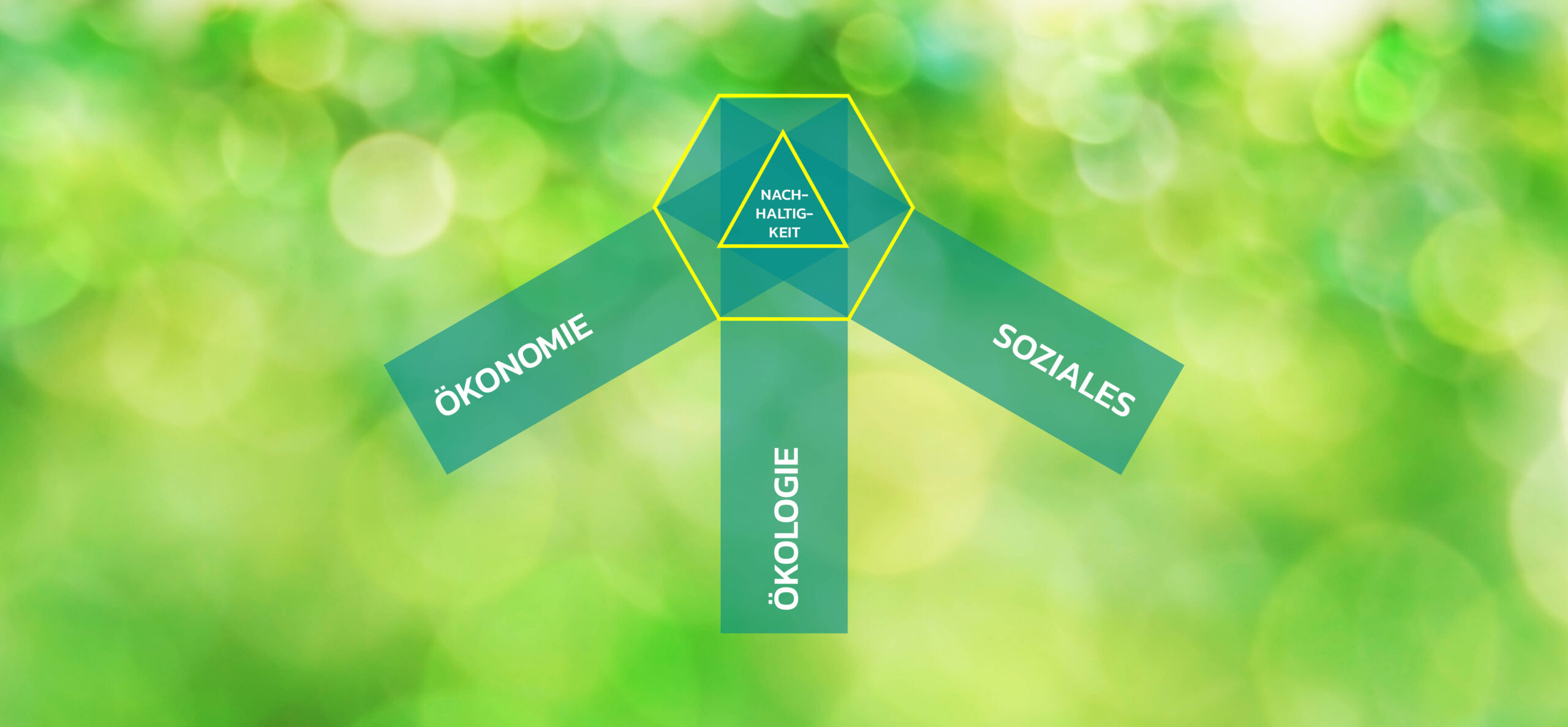 Grafik Triple Bottom Line Nachhaltigkeit